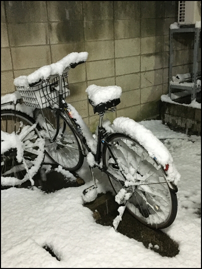 大雪　自転車